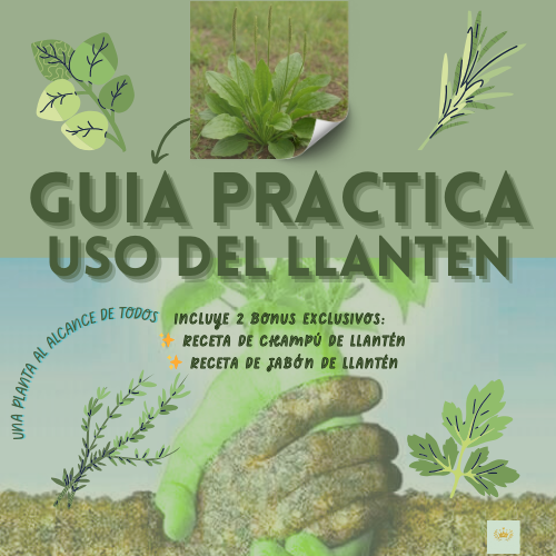 LLANTEN: LO NATURAL AL ALCANCE DE TODOS