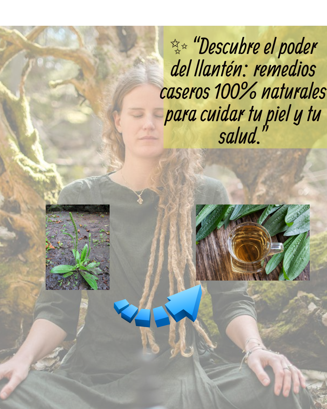 LLANTEN: LO NATURAL AL ALCANCE DE TODOS