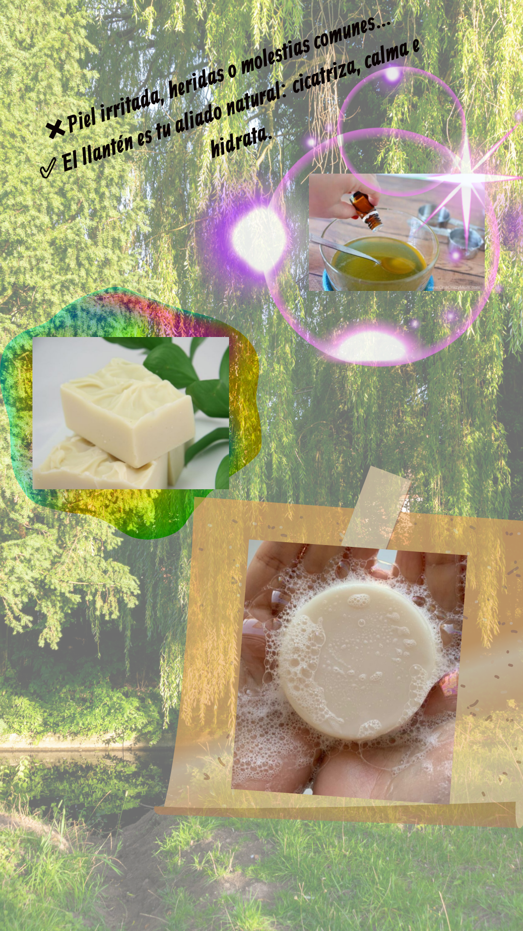 LLANTEN: LO NATURAL AL ALCANCE DE TODOS